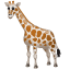 Zürafa Emoji U+1F992