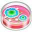 Petri kabı Emoji U+1F9EB
