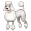 Kanış köpeği emoji U+1F429