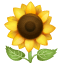 Ay çiçeği emoji U+1F33B