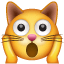 Yoruldu kedi emoji U+1F640